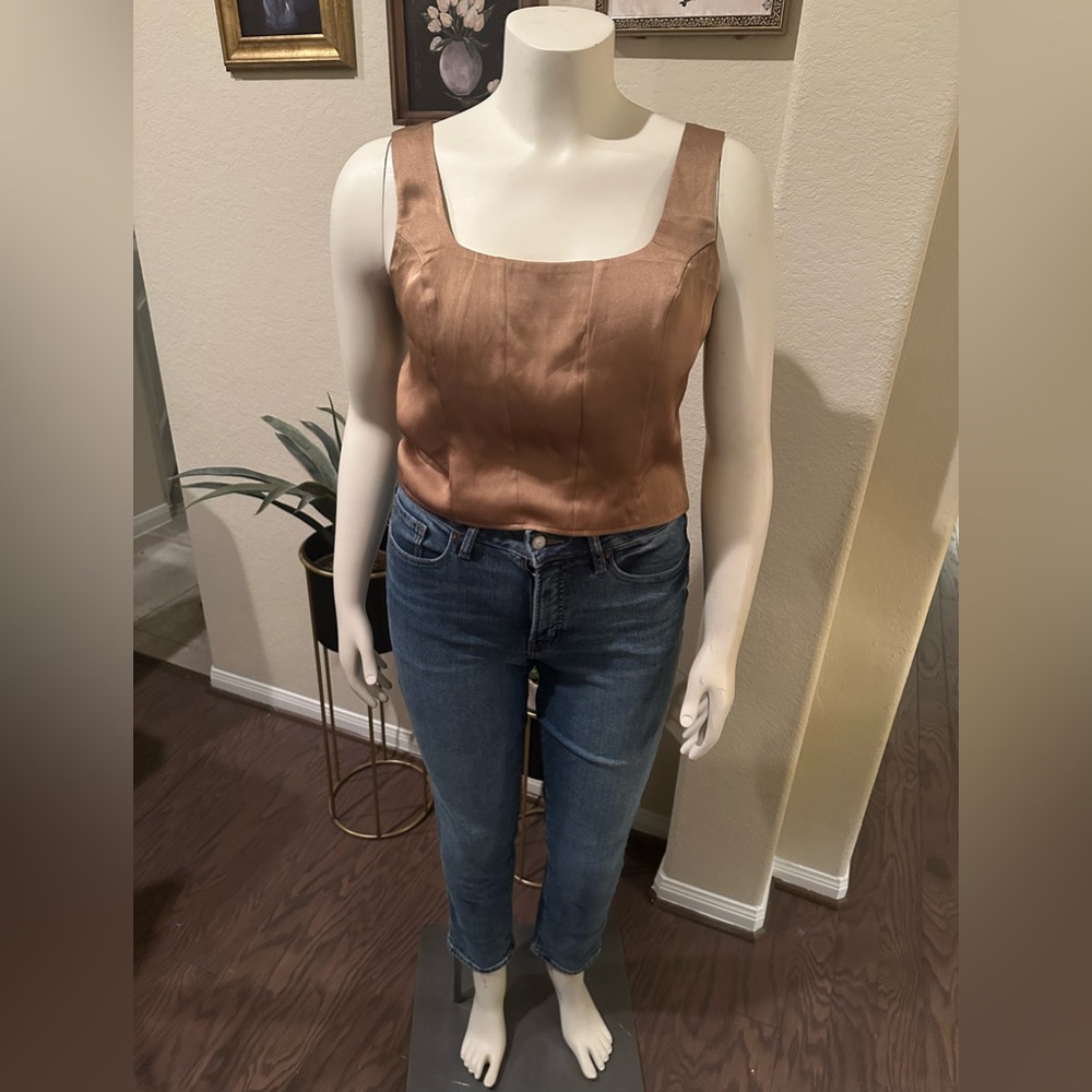 Express Satin In a Color Tan Corset Crop Top In Size Large.